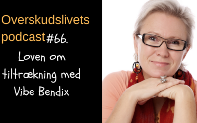 🎧 Loven om tiltrækning med Vibe Bendix