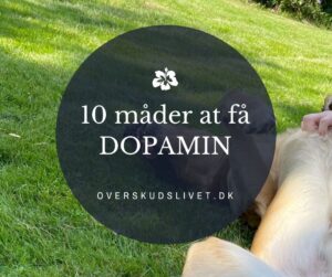 dopamin uden kalorier og sociale medier