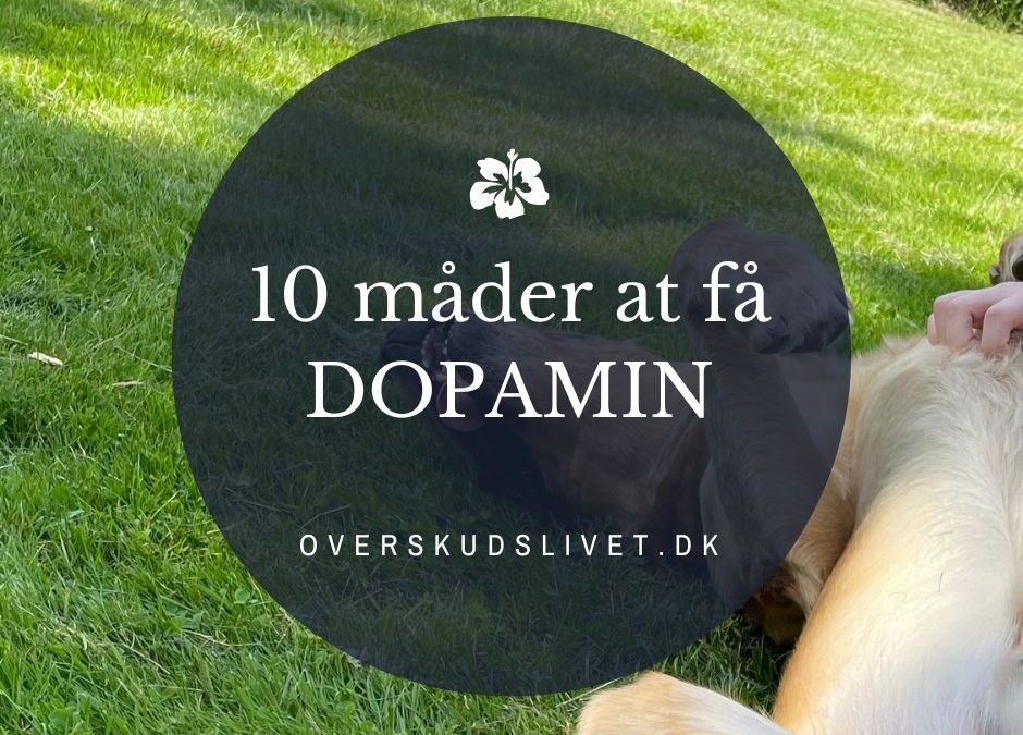 dopamin uden kalorier og sociale medier