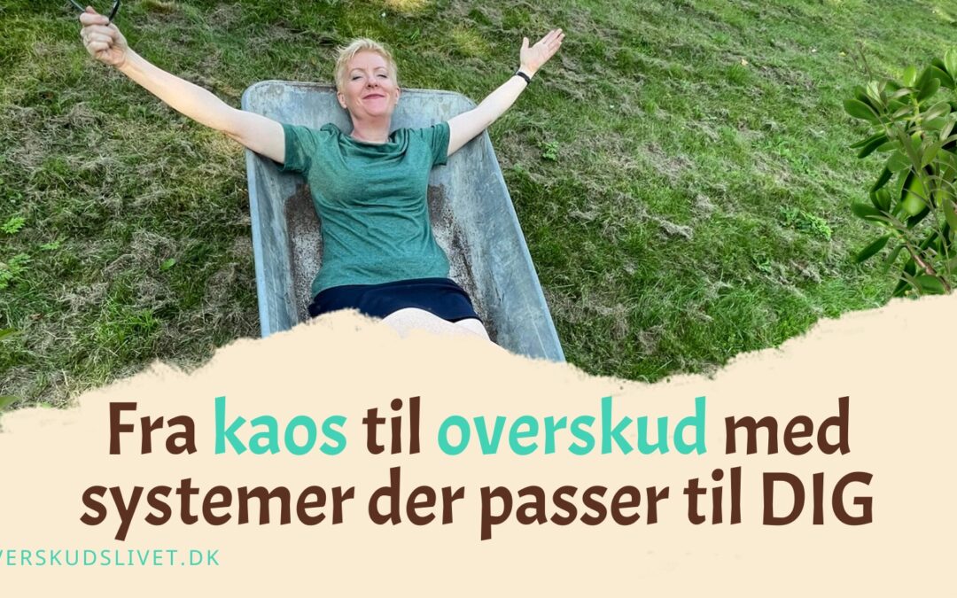 skab overskud med systemer med AI