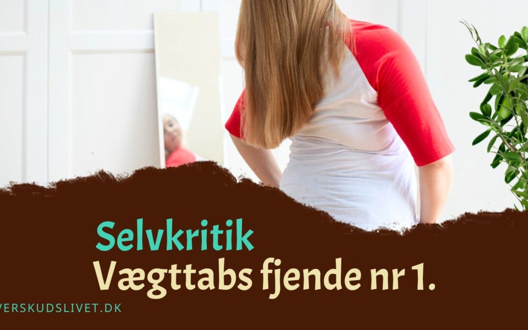 selvkritik feder. Selvkærlighed slanker