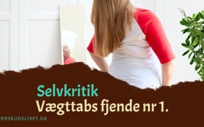 Selvkritik. Din vægts fjende nr 1
